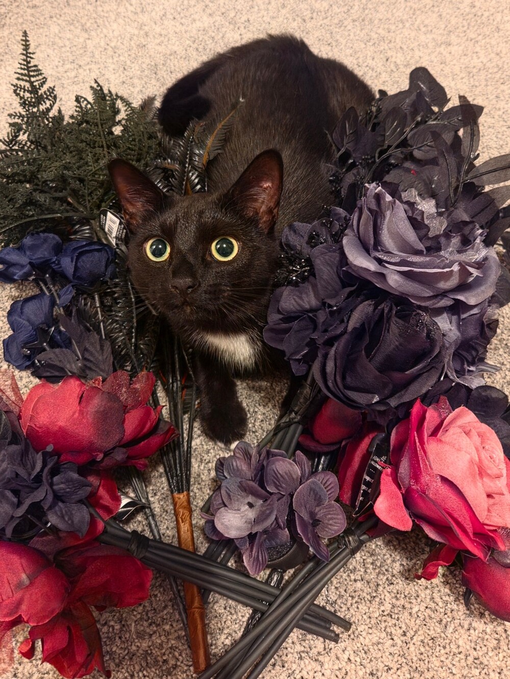 Decorative Floral Stems Lot: Black, Dark Red and Purple Crafting Halloween Goth
